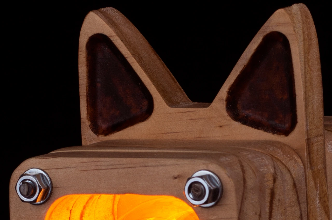 Gato Detalles 01