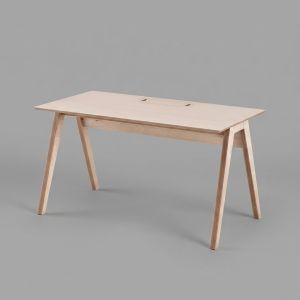 DANN DESK
